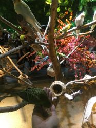 -酷嗒动物文化乐园(cutezoo西溪乐天城店)