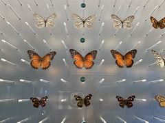 -陕西自然博物馆