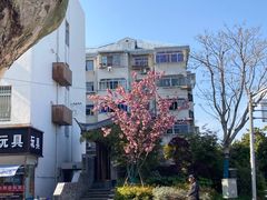 -川沙古镇-停车场
