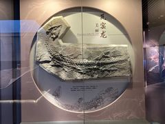 -贵州省地质博物馆