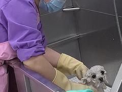 -北京观赏动物医院·24小时大型综合·猫专科·异宠专科