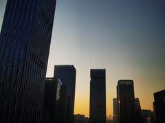 -深圳湾木棉花酒店