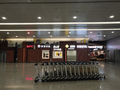 -上海浦东国际机场-T2航站楼