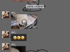 -伟伟宠物医院·CT影像中心·瑞派犬猫综合性门诊(汉口总院)