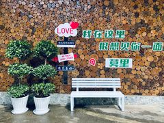 -莫里热带雨林景区