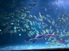 -常州海昌海洋探索馆