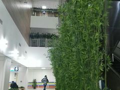 -首都医科大学附属北京潞河医院