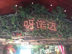 -呀诺达热带雨林