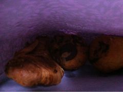 muffin和羊角-西点坊(浦东香格里拉店)