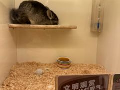 -龙猫仔乐园(惠福东路店)