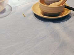 -千岛蚝高压锅生蚝·人参火锅(白云万达店)