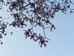 -宜家家居(高新商场店)