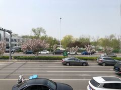 景观位-上海年代(水上东路店)