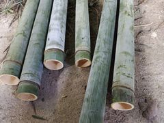 -香竹农庄•传统竹筒饭(十年店)