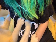 -Husky Go! 哈士奇体验馆·宠物咖啡厅狗咖