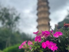 -崇圣寺三塔文化旅游区