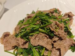 -张生记(丁香国际店)