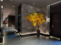 -御养源·影院式足道·按摩SPA·星级自助餐(青秀店)