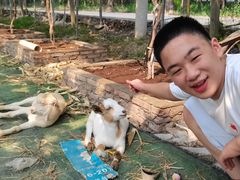 -马陆小张葡萄园农家乐