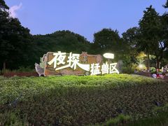 -上海野生动物园