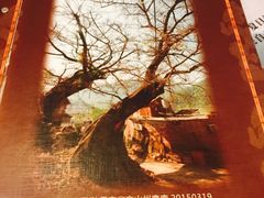 -阿殳菜馆·私厨(水围村店)