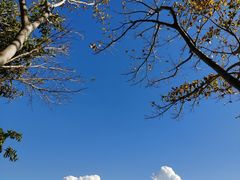 -深圳湾公园(南山区)