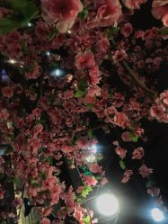 -逸丝风尚yesfashion造型