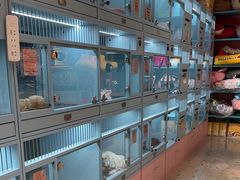 -FAELING PETS美天灵宠物(合生汇店)