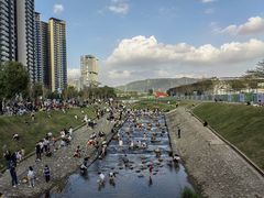 -光明小镇欢乐田园