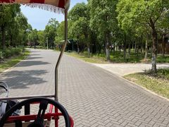 -上海海湾国家森林公园