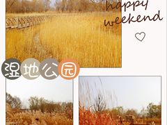 -野鸭湖国家湿地公园