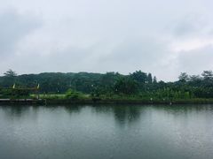 -荔枝红五号农庄