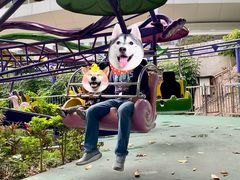 -顺德大良半月城游乐场