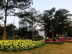 -二沙岛艺术公园