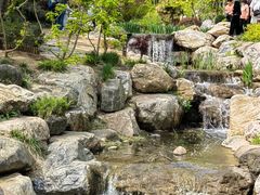 -大连植物园