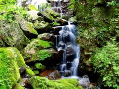 -藏龙百瀑风景区