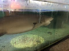 -鸿通城购物中心