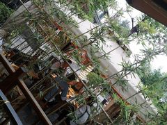 -二荆条·蜀鲜汇城市森林火锅