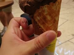 黑巧克力冰淇淋-LUNEURS月乐诗 冰淇淋咖啡(环贸店)