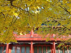 -北京石刻艺术博物馆(五塔寺)