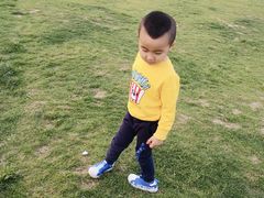 -君乐宝优致牧场