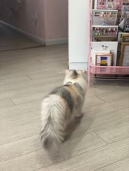 -Beauty Nails 美甲美睫皮肤管理