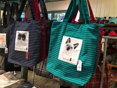 -猫咪博物馆(顶澳仔猫街店)