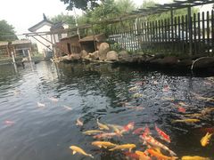 -湖鲜楼