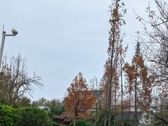 -思念果岭悦温泉