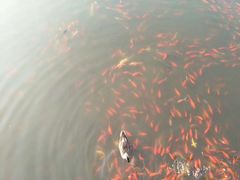 -前关湿地公园
