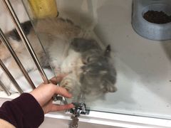 -1013 PET SHOP 宠物商店(近铁城市广场店)
