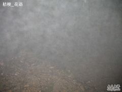 -安吉龙王山风景区