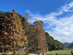 -广州市石门国家森林公园