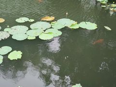 -八卦田遗址公园